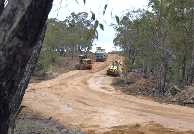 Building up the bush 'track'.
